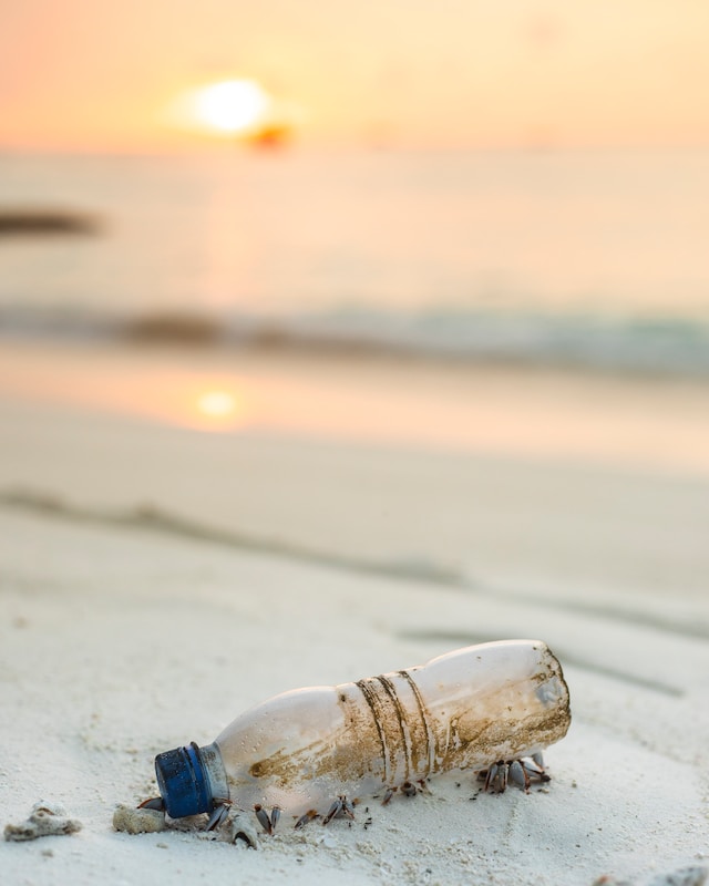 بطری پلاستیکی رها شده در طبیعت