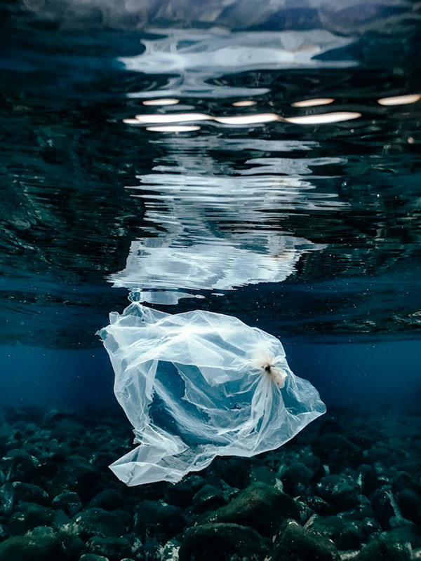 چه مدت طول می کشد پلاستیک تجزیه شود؟
