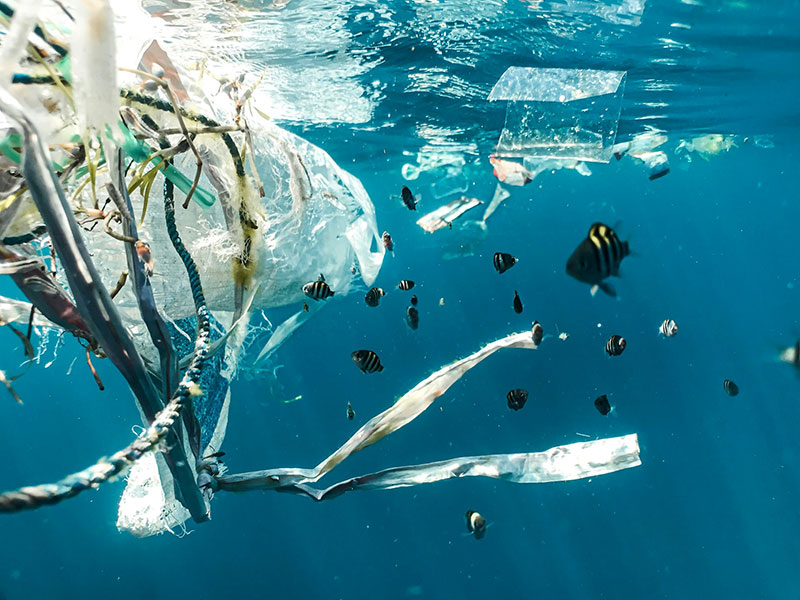 آسیب های زباله های پلاستیک به سلامتی انسان